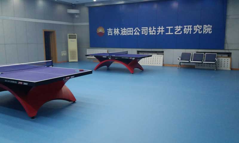 吉林省鬆原市寧江區乒乓球地膠 吉林省鬆原市寧江區乒乓球地膠