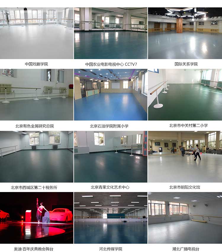 高彈係列·舞蹈羞羞视频污在线观看_舞台羞羞视频污在线观看